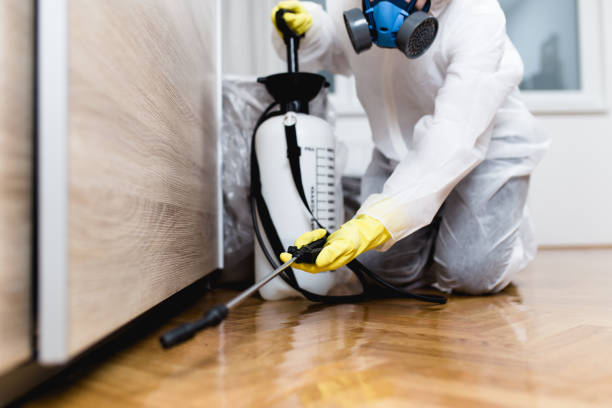 Trusted Farmington Hills, MI Pest Control Experts