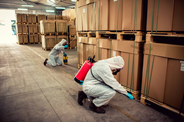Best Bed Bug Extermination  in Farngton Hills, MI