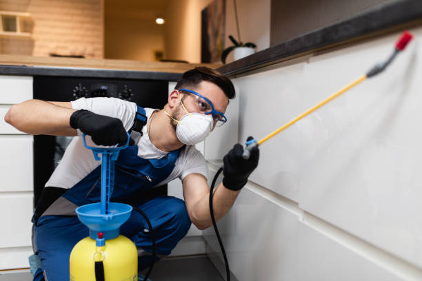 Best Residential Pest Control  in Farngton Hills, MI