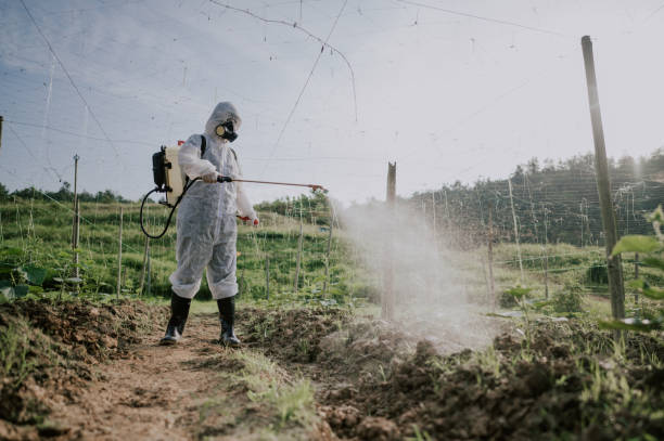 Best Termite Control Services  in Farngton Hills, MI