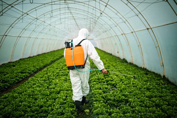 Best Best Pest Control Companies  in Farngton Hills, MI