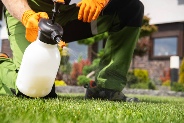Wasp Removal Services in Farmington Hills, MI