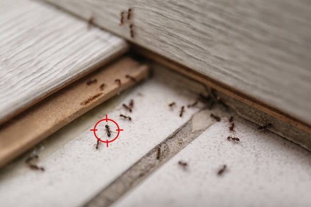 Best Commercial Pest Control Services  in Farngton Hills, MI