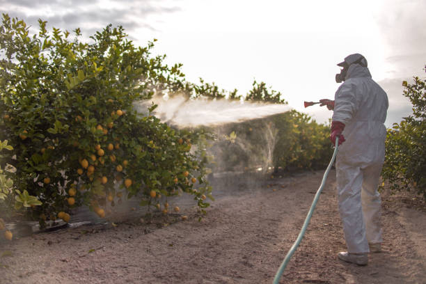 Best Pest Control for Businesses  in Farngton Hills, MI