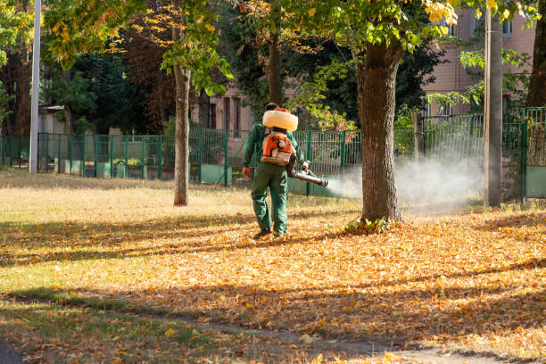 Best Wasp Removal Services  in Farngton Hills, MI