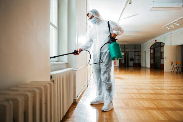 Best Cockroach Control Services  in Farngton Hills, MI