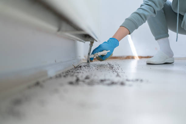 Best Pest Control Near Me  in Farngton Hills, MI